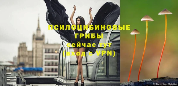 spice Баксан